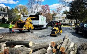 Best Hedge Trimming  in Sag Harbor, NY